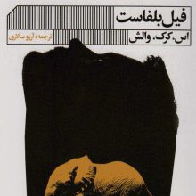 فیل بلفاست