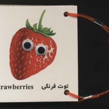 فلش کارت چشمی میوه ها (2زبانه،دستگیره دار)