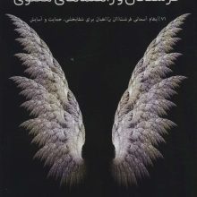 فرشتگان و راهنماهای معنوی (71 پیغام آسمانی فرشتگان نگهبان برای شفابخشی،حمایت و آسایش)