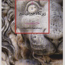 زیر نگاه خیره ی شیر