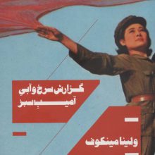 گزارش سرخ و آبی آمیب سبز (اودیسه24)