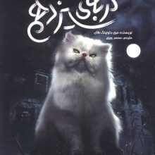 گربه ی سیزدهم