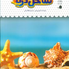 1 فنجان دانستنی درباره ی ساحل دریا (دانش نامه ی کودکان32)،(گلاسه)