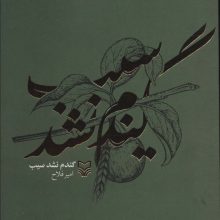 گندم نشد سیب