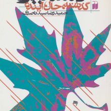 کشمیر (گذشته،حال،آینده)
