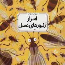 اسرار زنبورهای عسل (گلاسه)