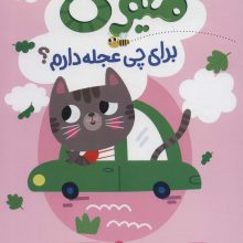 میومی برای چی عجله دارم؟ (گلاسه)