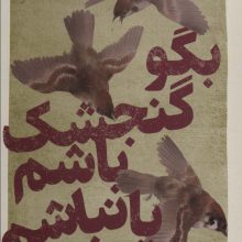 بگو گنجشک باشم یا نباشم (شعر شباب29)