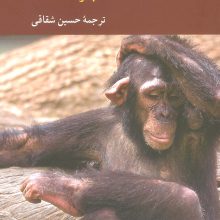 معرفت شناسی طبیعی شده (مجموعه مقالات)