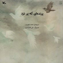 پرنده ای که پر نزد (گلاسه)