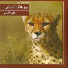 یوزپلنگ آسیایی (حیات وحش ایران)،(گلاسه)