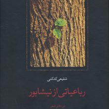 رباعیاتی از نیشابور (دو دفتر شعر:رباعی ها،دو بیتی ها)