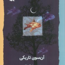 آن سوی تاریکی