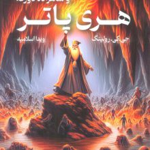 هری پاتر 6 (هری پاتر و شاهزاده دورگه)