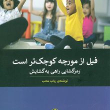فیل از مورچه کوچک تر است (رمزگشایی راهی به گشایش)