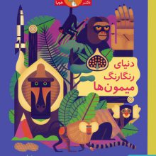 دنیای رنگارنگ میمون ها
