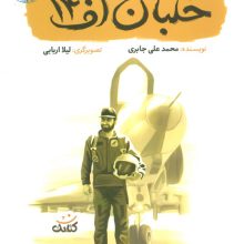 خلبان اف 14 (قهرمان من)