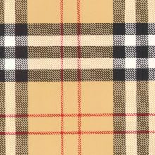 سالنامه 1404 (بریکا)