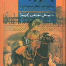 پسر رابعه (روزهای دشوار سلطان محمود غزنوی)،(2جلدی)