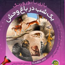 یک شب در باغ وحش (با یک چراغ قوه ی کاغذی بگرد و پیدا کن)،(بازی با نور و رنگ)،(گلاسه)