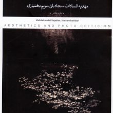 زیباشناسی و نقد عکس (تاملی بر عکاسی سرد بر مبنای نظریه مونرو سی بیردزلی)