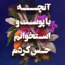 آنچه با پوست و استخوانم حس کردم