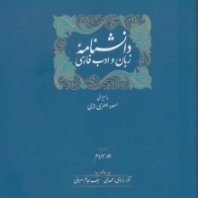 دانشنامه زبان و ادب فارسی (ذیل جلد سیزدهم و چهاردهم)،(2جلدی)