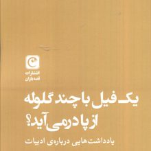 یک فیل با چند گلوله از پا در می آید؟ (یادداشت هایی درباره ادبیات)