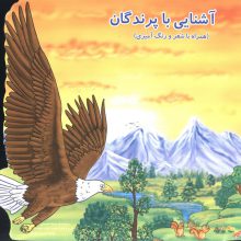 آشنایی با پرندگان (همراه با شعر و رنگ آمیزی)