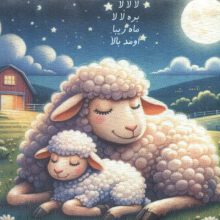 کتاب پارچه ای لالا