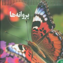 پروانه ها (شاهد عینی)،(گلاسه)