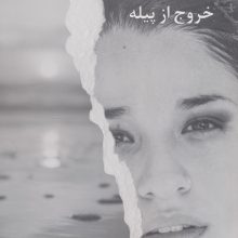 آشیانه ام کجاست 2 (خروج از پیله)