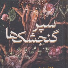 سپر گنجشک ها