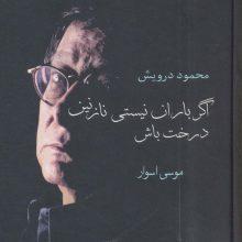 اگر باران نیستی نازنین درخت باش