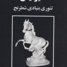 مایزلیس:تئوری بنیادی شطرنج
