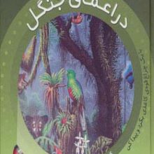 در اعماق جنگل (با یک چراغ قوه ی کاغذی بگرد و پیدا کن)،(بازی با نور و رنگ)،(گلاسه)
