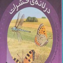 در لانه ی حشرات (بازی با نور و رنگ)
