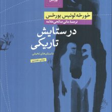 هزارتوی بورخس 2 (در ستایش تاریکی)