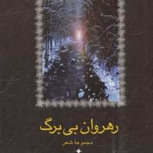 رهروان بی برگ (مجموعه شعر)