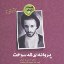 قهرمانان انقلاب 4 (پروانه ای که سوخت:روایتی داستانی از زندگی شهید سید مجتبی نواب صفوی)