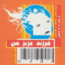 فرزند عزیز من 1 (مهارت های ارتباط با کودکان از تولد تا 3 سالگی)