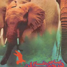 تهاجم و دفاع در جهان حیوانات (گلاسه)