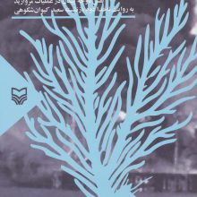 راز مروارید (نقش ناوچه پیکان در عملیات مروارید)