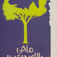 ماهی بالای درخت (رمان هایی که باید خواند)
