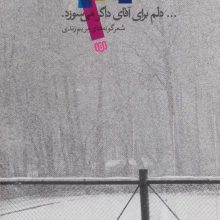 …دلم برای آقای داگر می سوزد. (شعرگونه های مریم زندی)