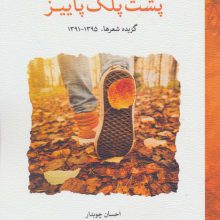 پشت پلک پاییز (گزیده شعرها،1395-1391)