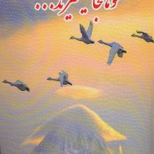 قوها کجا میمیرند...