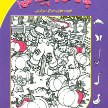 جای من را پیدا کن! 4 (تقویت هوش،تمرکز،سرگرمی)،(گلاسه)