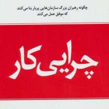 چرایی کار (چگونه رهبران بزرگ سازمان هایی پربار بنا می کنند که موفق عمل می کنند)