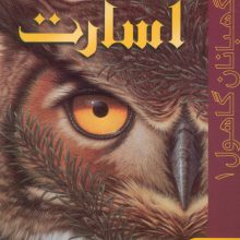 نگهبانان گاهول 1 (اسارت)
